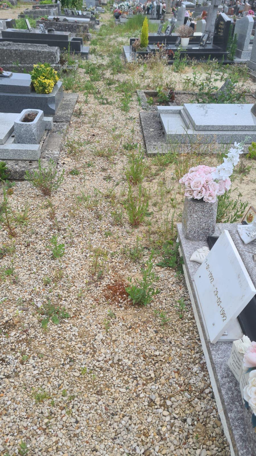 Photo cimetiere